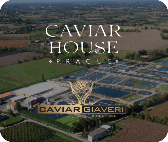 Caviar Giaveri: italský kaviár nově v Caviar House Prague