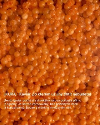 IKURA Šetrně zpracovány kaviár bez konzervantů. Neuznávanější kaviár na světě!